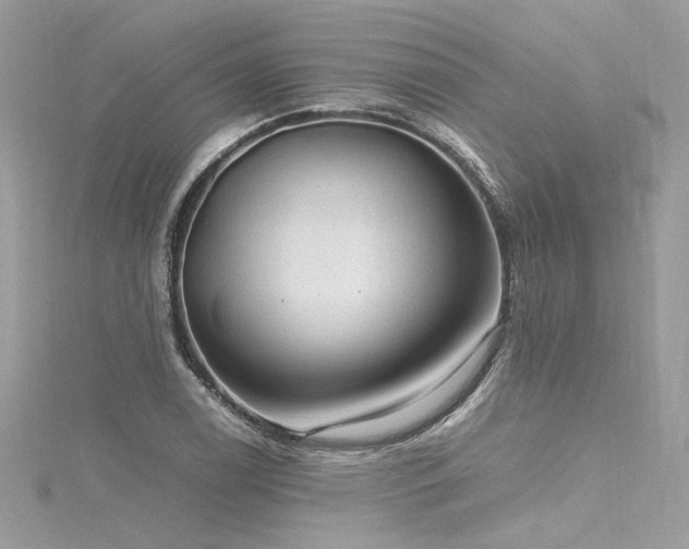 X0000116311122200911301457