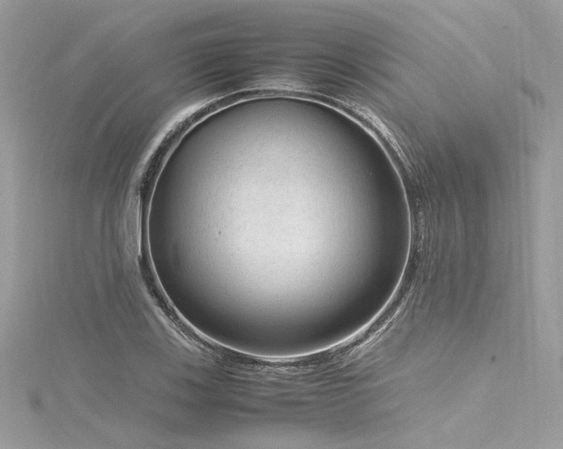 X0000116311123200911301457