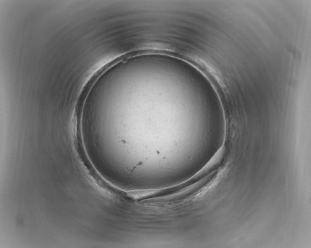 X0000116311125200911301457