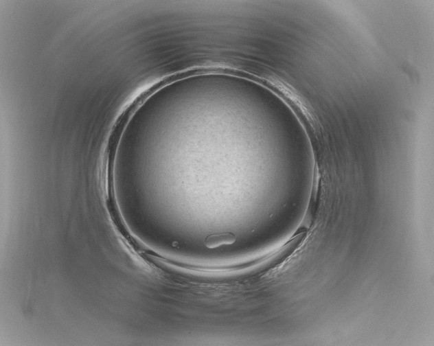 X0000116311127200911301457