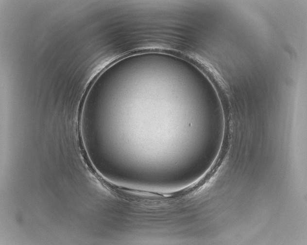 X0000116311129200911301457