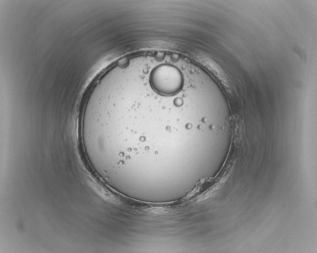 X0000116311130200911301457