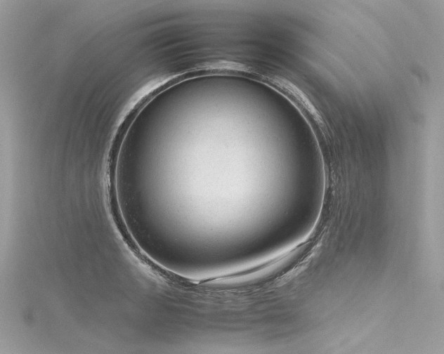 X0000116311133200911301457