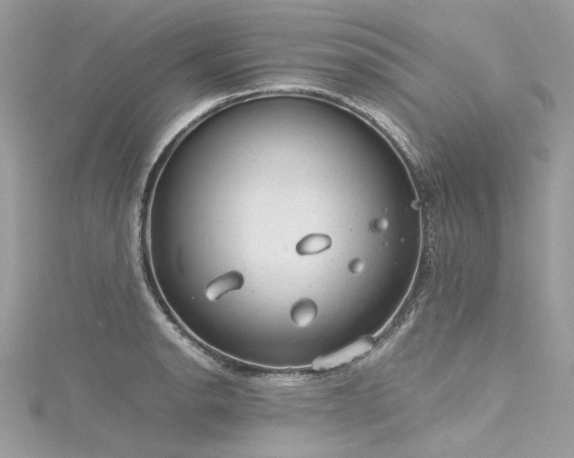 X0000116311134200911301457