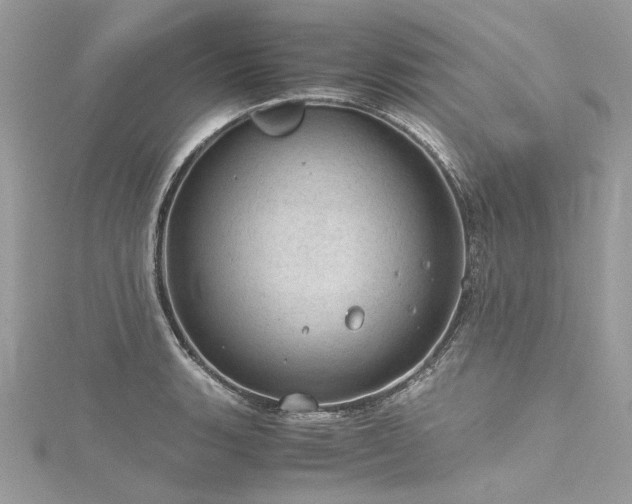 X0000116311135200911301457