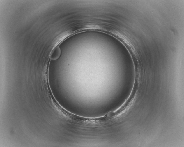 X0000116311137200911301457