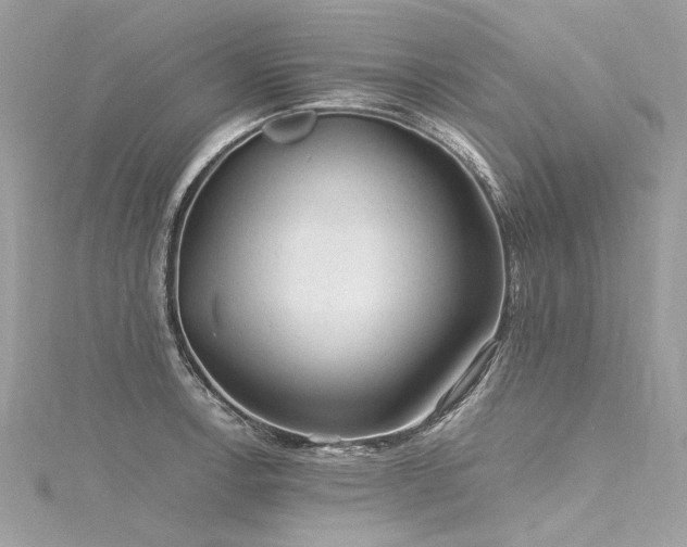 X0000116311138200911301457