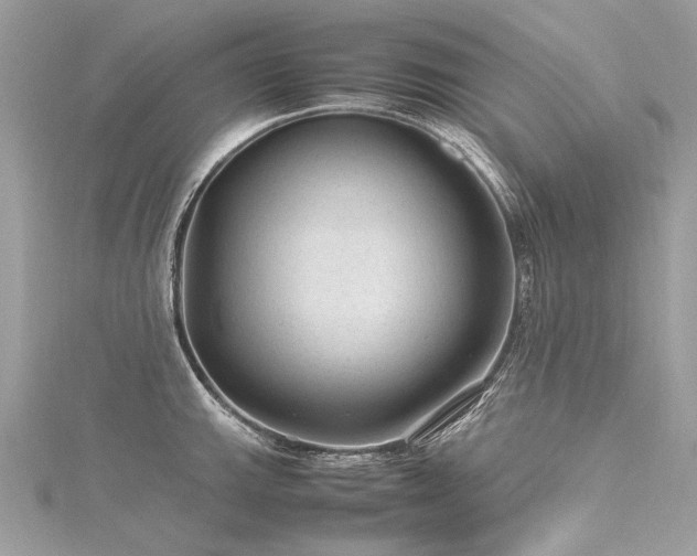 X0000116311143200911301457