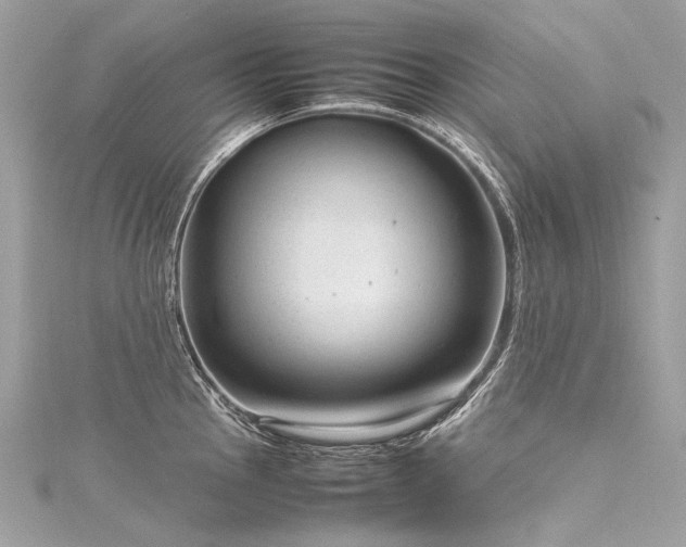 X0000116311145200911301457