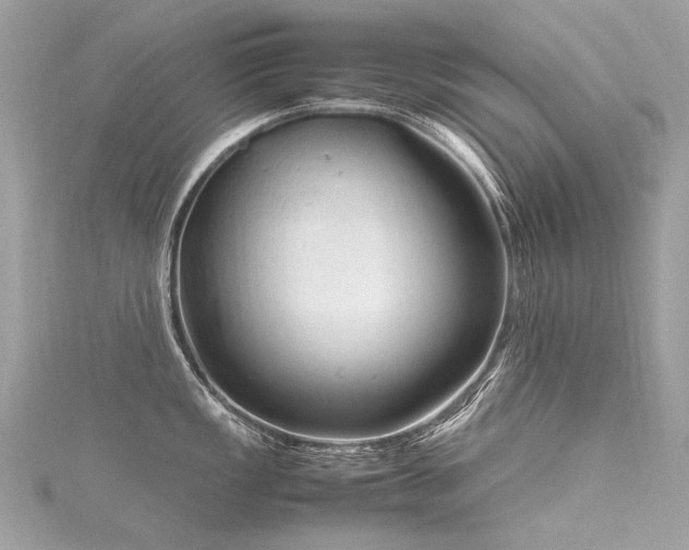 X0000116311149200911301457