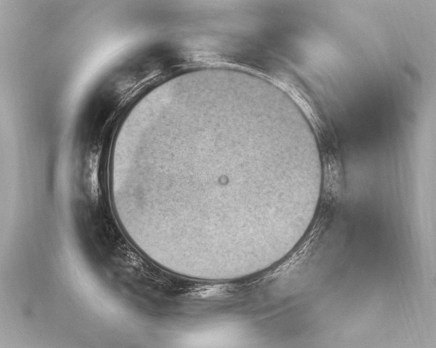 X0000116311150200911301457