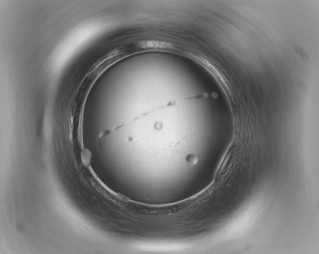 X0000116311151200911301457