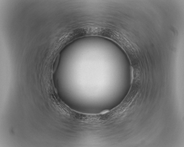 X0000116311153200911301457