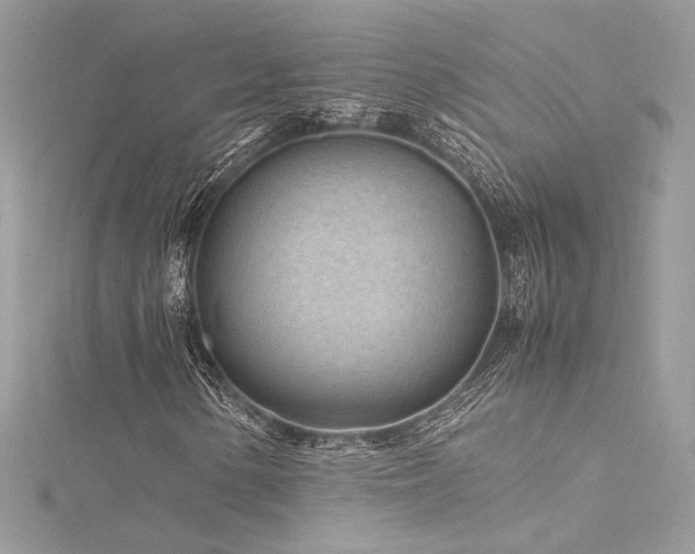 X0000116311154200911301457