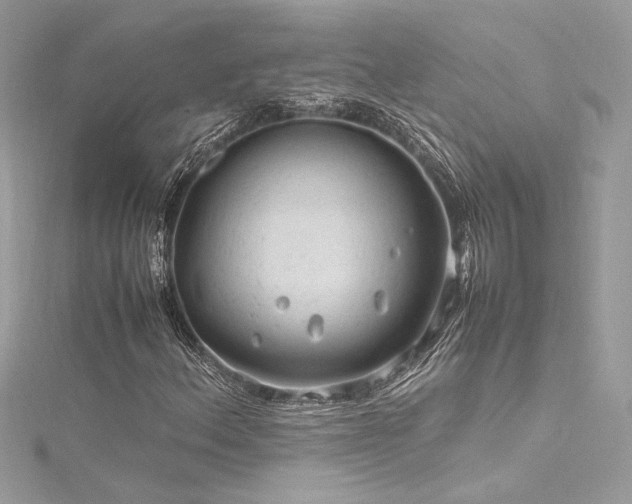 X0000116311156200911301457