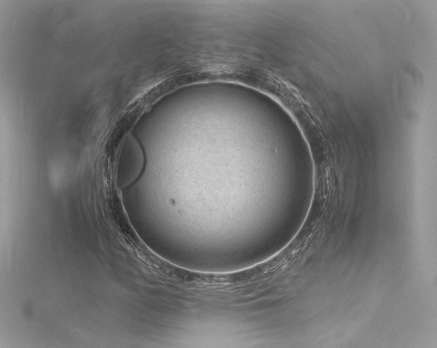 X0000116311158200911301457