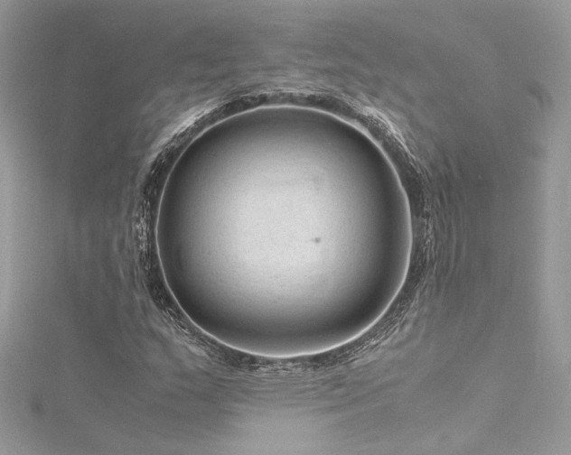 X0000116311159200911301457