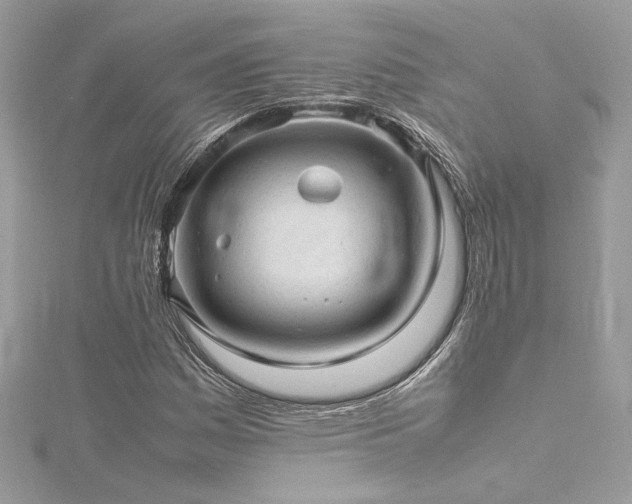 X0000116311161200911301457