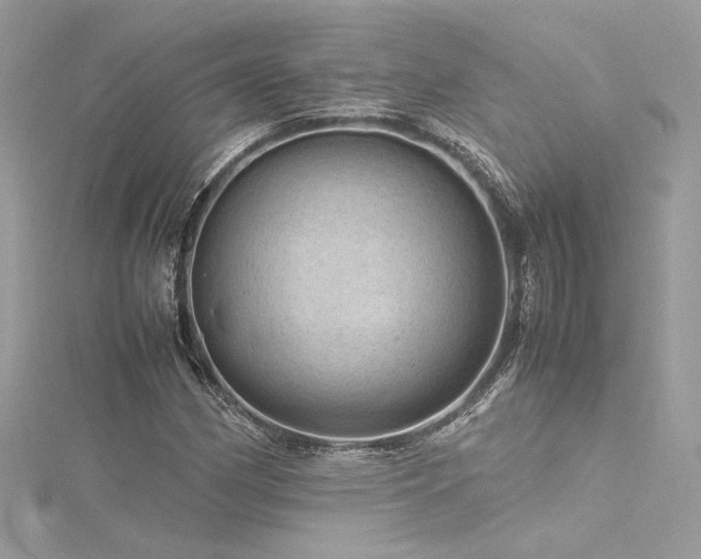 X0000116311162200911301457