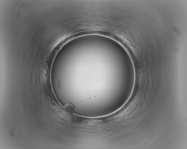 X0000116311163200911301457