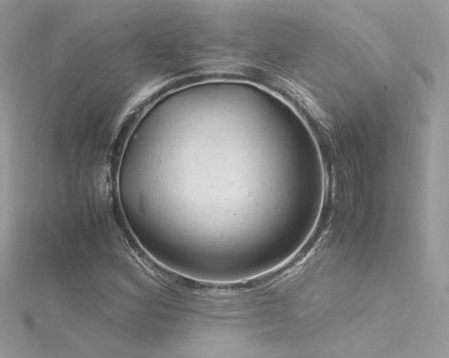 X0000116311164200911301457