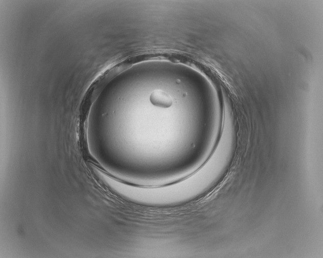 X0000116311165200911301457