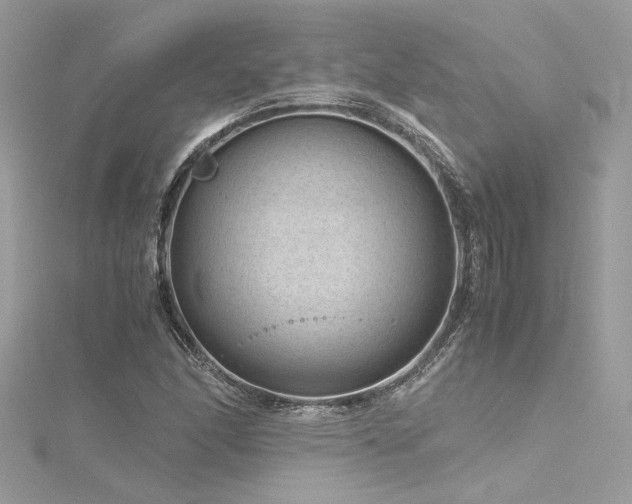 X0000116311166200911301457