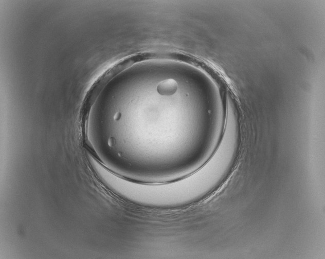 X0000116311167200911301457