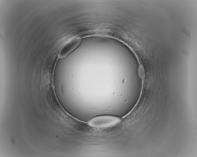 X0000116311169200911301457