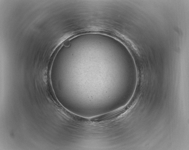 X0000116311170200911301457