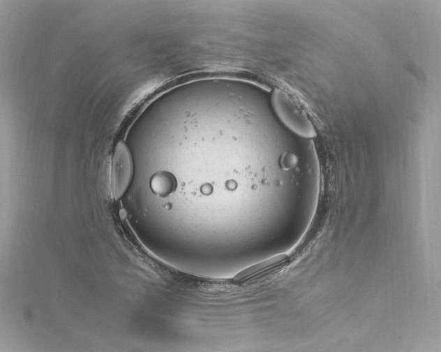 X0000116311171200911301457