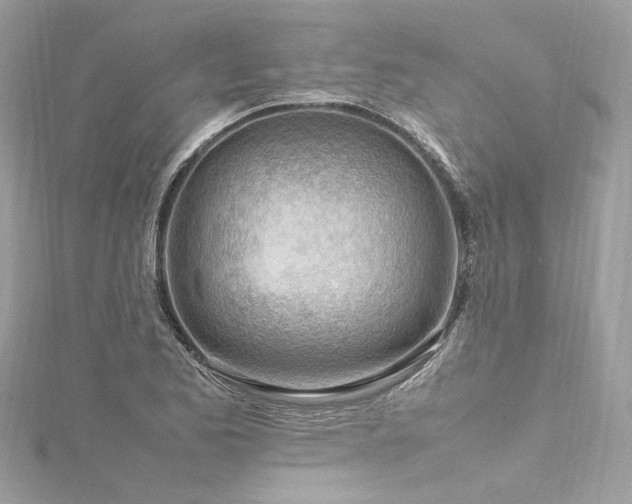 X0000116311173200911301456