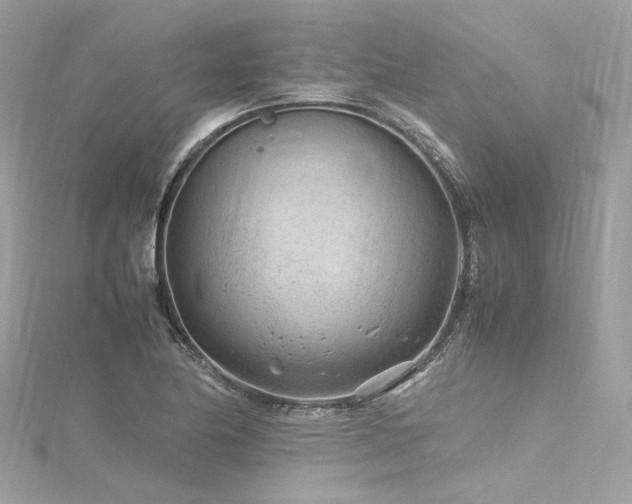 X0000116311174200911301456