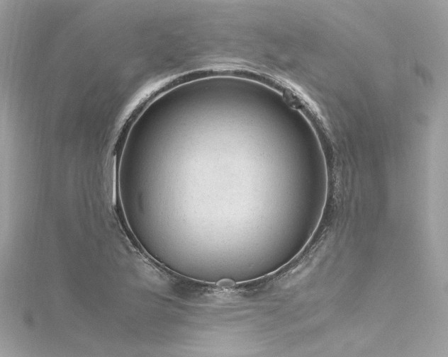 X0000116311175200911301456