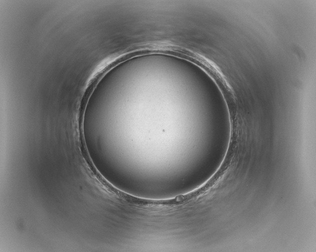 X0000116311176200911301456