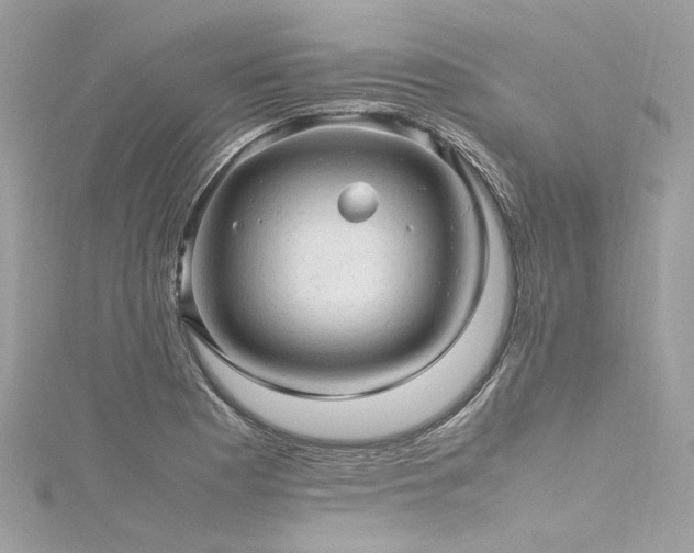 X0000116311177200911301456