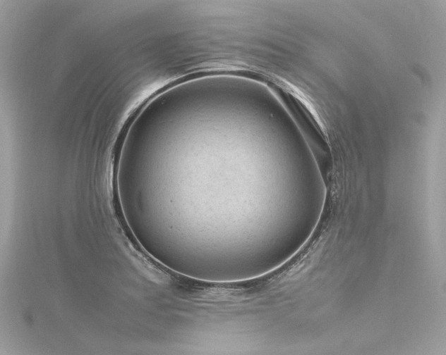 X0000116311179200911301456