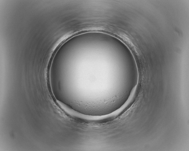 X0000116311181200911301456