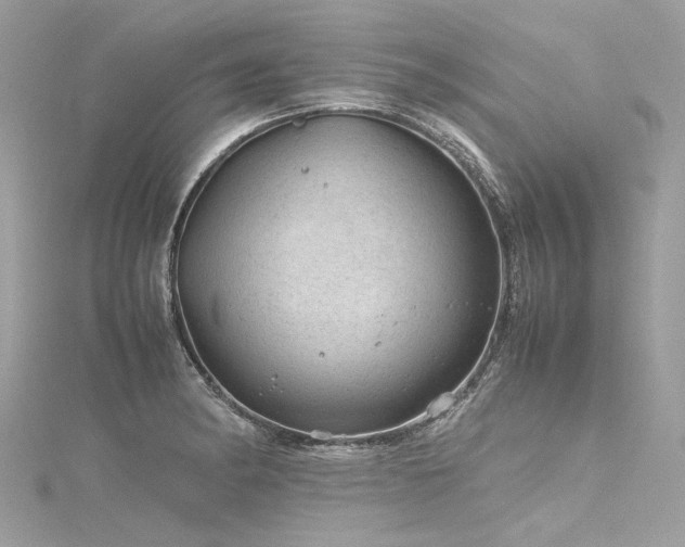 X0000116311182200911301456