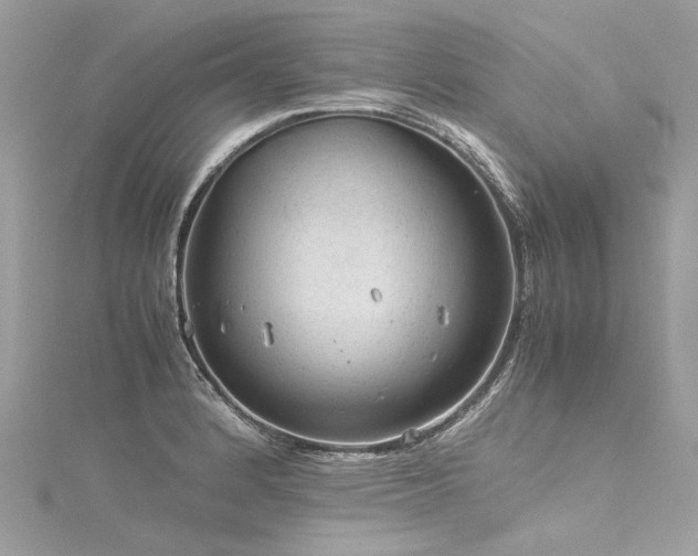 X0000116311184200911301456