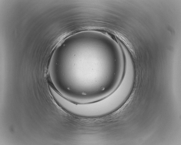 X0000116311185200911301456