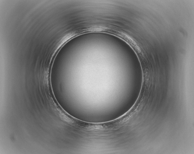 X0000116311186200911301456