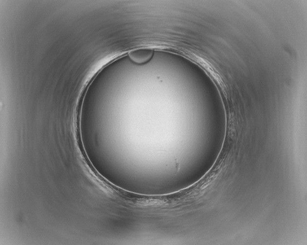 X0000116311187200911301456