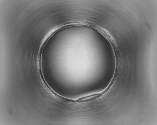 X0000116311188200911301456