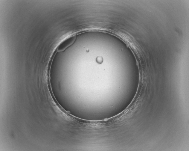 X0000116311189200911301456