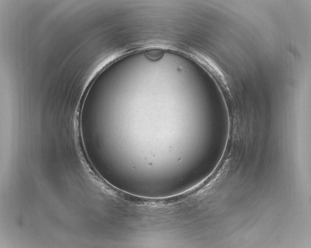 X0000116311190200911301456