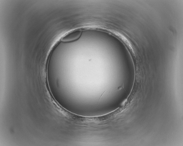 X0000116311191200911301456