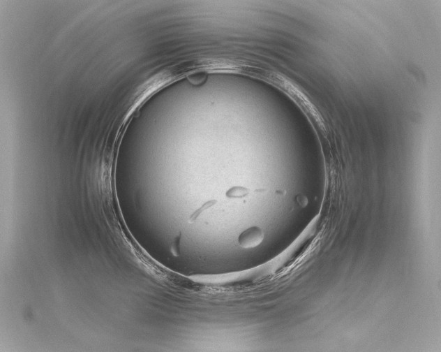 X0000116311194200911301456