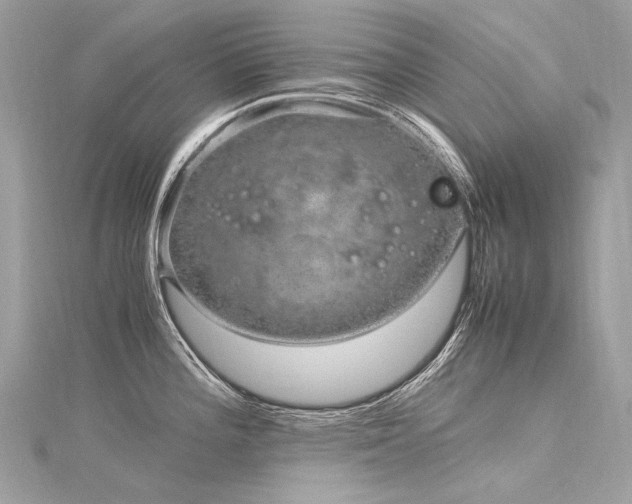 X0000116311196200911301456