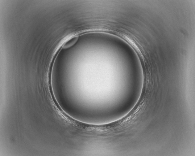 X0000116311197200911301456